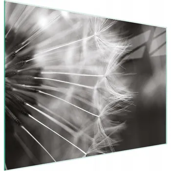 Kuchyňské prkénko Krájecí deska TMK ArtDeko sklo 1 ks