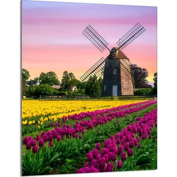 Kuchyňské prkénko Krájecí deska TMK ArtDeko sklo 1 ks