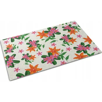 Rohožka Hotová textilní rohožka do interiéru 60 x 40 cm