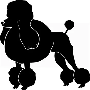 Samolepící dekorace Samolepka na stěnu Drukart Pudelek černá 35x35 cm