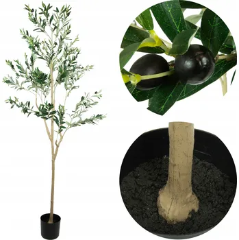 umělá květina Umělá pokojová rostlina ViviArt olivovník zelený 180 cm