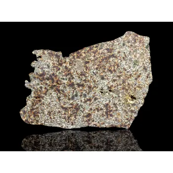 Přírodní kámen Meteorit | Achondrit | Erg Chech 002 | 20,51 g