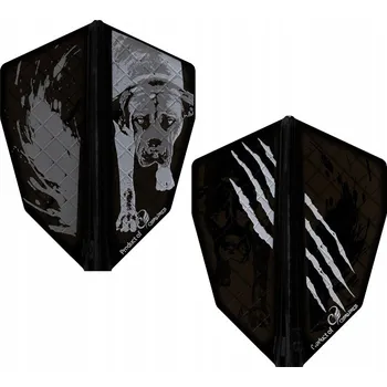 Příslušenství pro šipky LETKY COSMO DARTS FIT FLIGHT PRO ŁUKASZ WACŁAWSKI ČERNÉ S-4