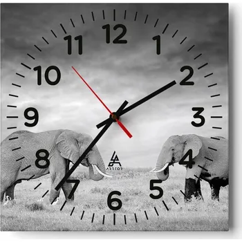 Hodiny Nástěnné hodiny do obýváku 40x40 Slon Bezhlučné Hodiny na skle Stylové Tiché