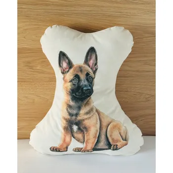 Obraz Dekorační povlak na polštář Coolkousky 40 x 30 cm