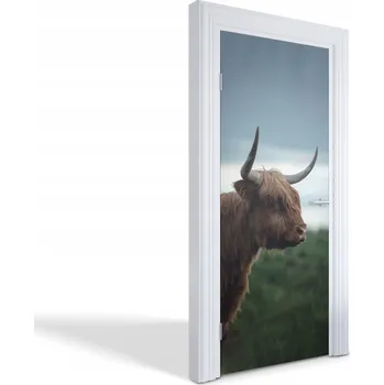 Fototapeta Samolepící dekorativní nálepka na dveře Skotský horský skot 85x205 cm
