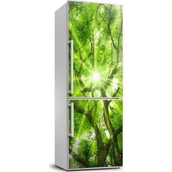 Fototapeta Samolepicí samolepící s dýhou Koruna stromů