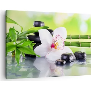 Obraz Obraz na plátně do obývacího pokoje ložnice 70x50 bambus foto obrazy na zeď