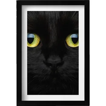 Obraz Dekorace obraz s grafikou v krásném černém rámu Zvíře kočičí oči 20x30 cm