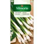 Vilmorin Cibule zimní sečka Bajkal