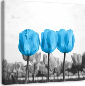 Obraz TIŠTĚNÝ OBRAZ Tři Tulipány Příroda 60x60