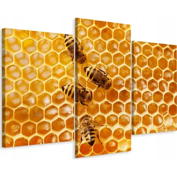 Obraz Obraz TRYPTYK Medová Plástev Včely Makro 60x40