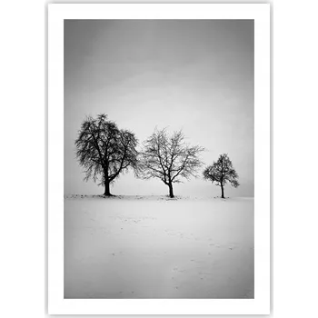 Obraz Plakát bez rámu do obýváku ložnice 50x70 krajina moderní módní obraz