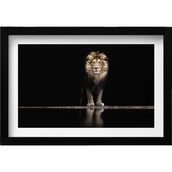 Obraz Dekorativní nástěnný obraz v rámu s grafikou Osamělé zvíře divoký lev 30x20 cm