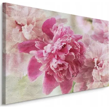 Obraz Obraz do ložnice květiny pivoňky příroda 70x50