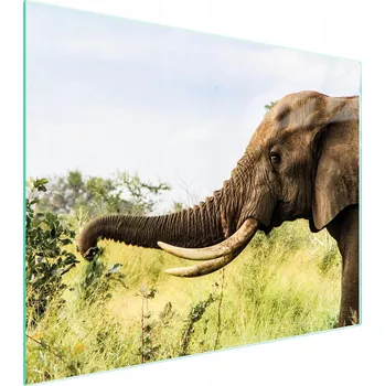 Kuchyňské prkénko Krájecí deska TMK ArtDeko sklo 1 ks