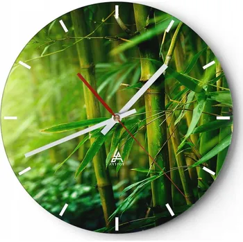 Hodiny Velké nástěnné hodiny 40x40 cm Rostlina Skleněné hodiny Kulatý Tiché