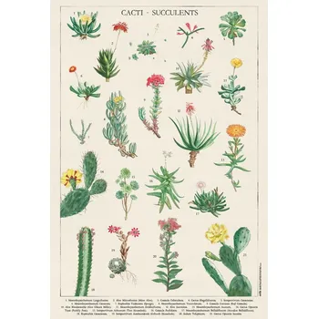 Obraz Plakát rostliny bez rámu 61 x 91,5 cm