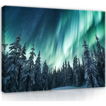 Obraz OBRAZ POLÁRNÍ ZÁŘE LES TYRKYSOVÁ PŘÍRODA NOC NA PLÁTNĚ NA ZEĎ LOŽNICE OBÝVACÍ POKOJ 60x40