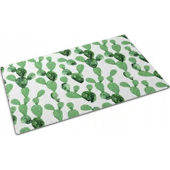 Rohožka Gumová rohožka před dveře - Kaktusy Akvarel 60x40 cm