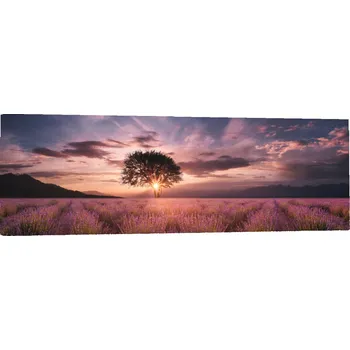 Obraz Obraz na plátně jako malovaný PANORAMATICKÝ LEVANDULE ZÁPAD POLE 120x40