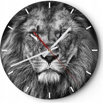 Hodiny Velké nástěnné hodiny 40x40 cm Zvířata Skleněné hodiny Kulatý Tiché