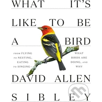 What It's Like to be a Bird - David Allen Sibley Albert Knopf