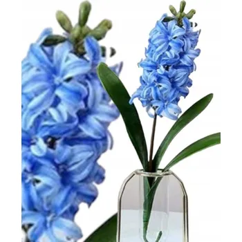 umělá květina HYACINT S LISTY 42 cm umělý jako živý
