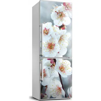 Fototapeta Samolepicí samolepící na ledničku Květy třešní