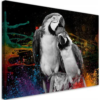 Obraz OBRAZ NA PLÁTNĚ Barevný obraz s papoušky - abstrakce 60x40 cm