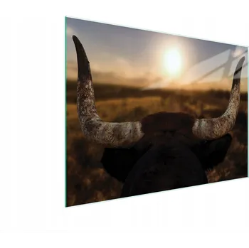 Kuchyňské prkénko Krájecí deska TMK ArtDeko sklo 1 ks