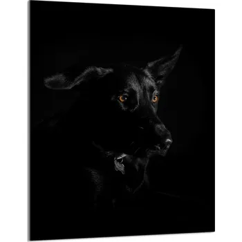 Obraz Krájecí deska TMK ArtDeko sklo 1 ks