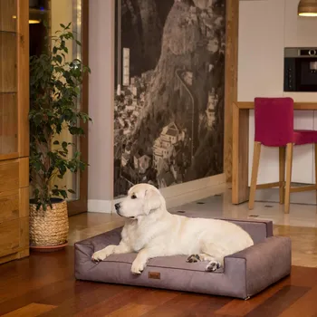 Pelíšek pro psa HobbyDog Pelech Glamour - Hnědý Fancy VELIKOST: Pro malého psa ( vel. L ) - 78 x 53 cm