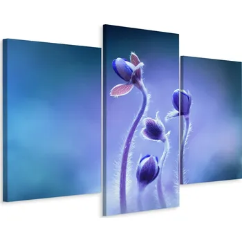 Obraz Obraz TRYPTYK Květiny Rostliny v Makro Měřítku 90x60