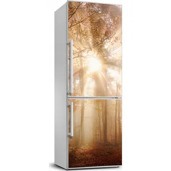 Fototapeta Samolepka na ledničku samolepící Les na podzim