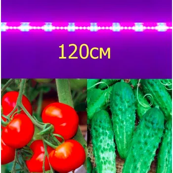 LED osvětlení Zářivka pro rostliny T8-2835FS 120cm 16W LEDMAX