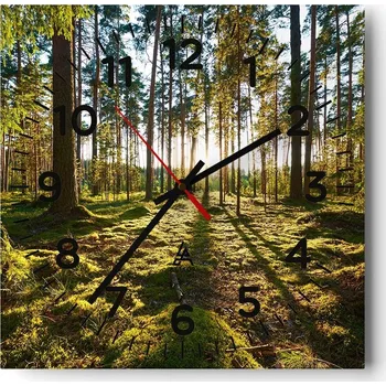 Hodiny Kuchyňské nástěnné hodiny 30x30 Krajina Skleněné hodiny do obýváku Moderní Tiché