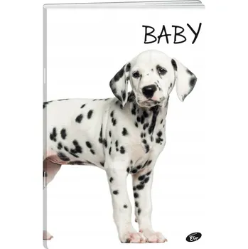 Sešit Sešit A5 s linkami Elisa, 32 listů