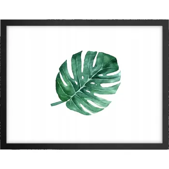 Obraz Obraz plakát v černém rámu do obýváku 40x30 monstera foto na zeď