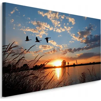 Obraz Obraz canvas ptáci krajina západ slunce 70x50