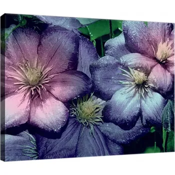 Obraz OBRAZ NA PLÁTNĚ CANVAS 60x40 KVĚTINY PŘÍRODA