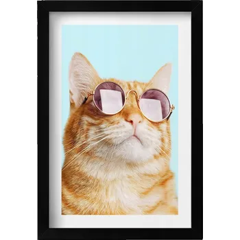 Obraz Dekorativní nástěnný obraz v rámu s grafikou: Legrační kočka v brýlích 20x30 cm