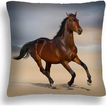 Polštář POLŠTÁŘ HŘEBEC KAŠTAN KONĚ 42 V CVALU PL 50X50