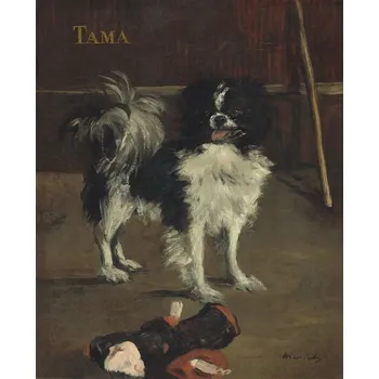 Plakát Plakát, Obraz - Tama, the Japanese Dog, c.1875, Edouard Manet