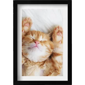 Obraz Nástěnný obraz v černém rámu dekorace interiéru Malé spící kotě 20x30 cm