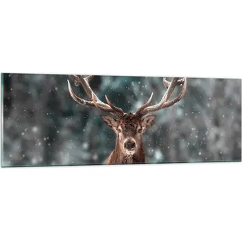 Obraz Obraz na skle do obýváku ložnice 90x30 zvířata obrazy na zeď sklo