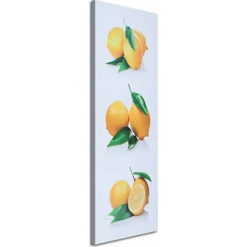 Obraz OBRAZ NA PLÁTNĚ Citrony Ovoce 50x150