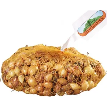 Semeno Cibule sazečka HERCULES 250g