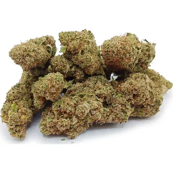 CBD CBD Konopný květ Blueberry 12% CBD Váha: 1 g (2456_1)