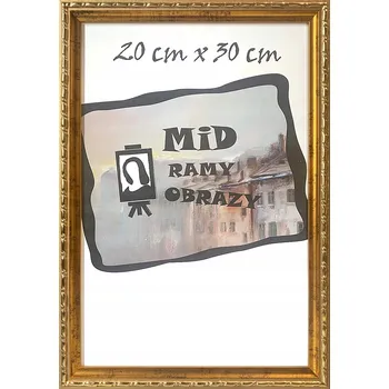 Obraz RÁMEČEK NA FOTKY S JEMNÝM ZDOBENÍM 20x30 15 ZLATÁ BARVA